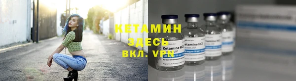 ПСИЛОЦИБИНОВЫЕ ГРИБЫ Дмитриев