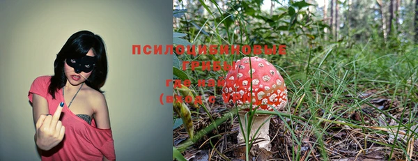 ПСИЛОЦИБИНОВЫЕ ГРИБЫ Дмитров