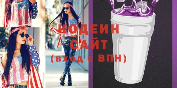 ПСИЛОЦИБИНОВЫЕ ГРИБЫ Дмитриев