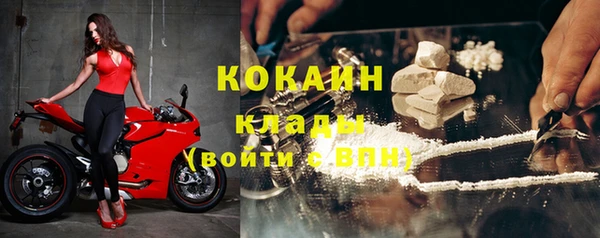 ПСИЛОЦИБИНОВЫЕ ГРИБЫ Дмитриев