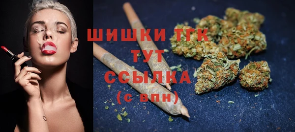 ПСИЛОЦИБИНОВЫЕ ГРИБЫ Дмитриев