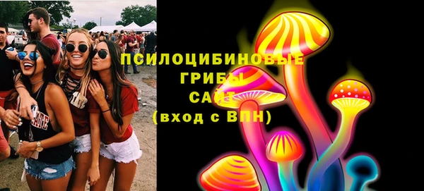 ПСИЛОЦИБИНОВЫЕ ГРИБЫ Дмитриев